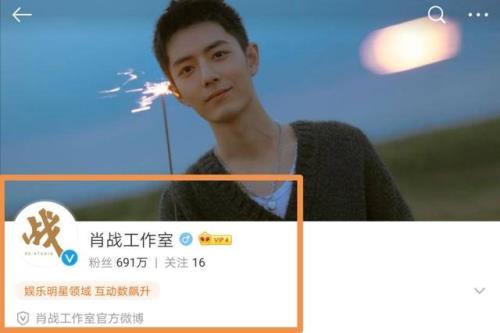 肖战的三个公司是哪几个