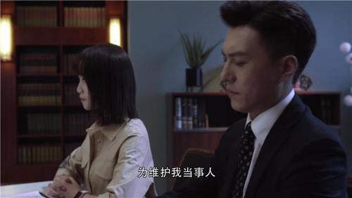 靳东演的金牌律师
