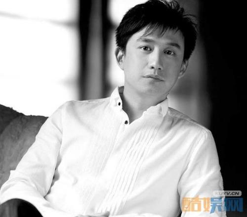 黄磊的工作履历