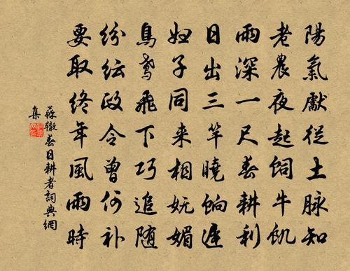 耕者王清臣原文