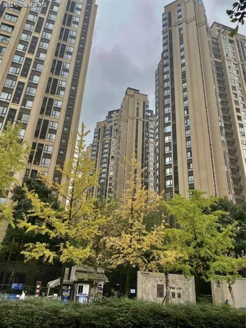 金沙云庭为什么贵
