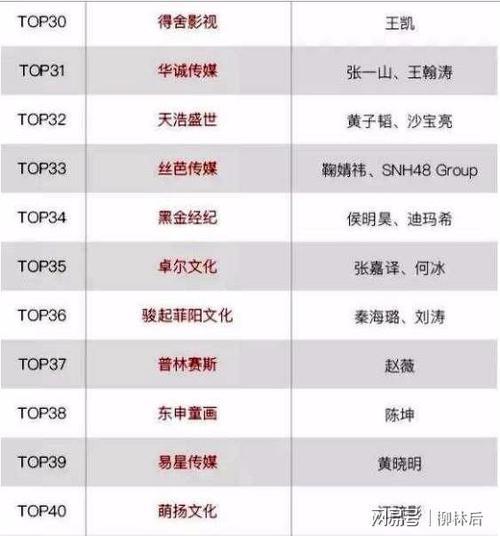 中国最年轻的娱乐经纪公司排名