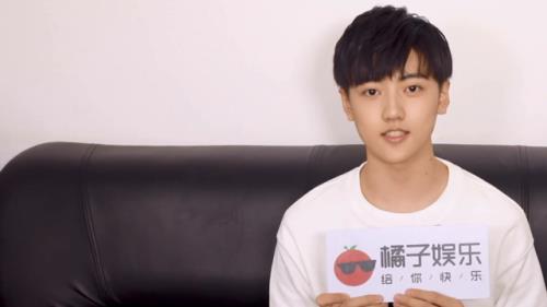 焉栩嘉一共多少笔画