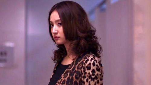 李泽锋和殷叶子还演过什么电视剧