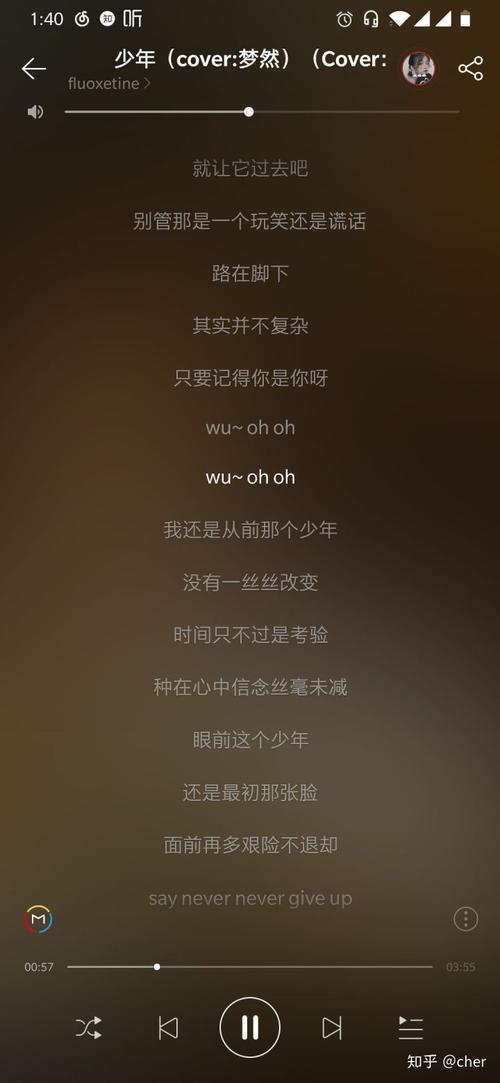 不枉少年是哪首歌的歌词