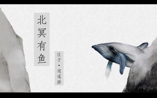 北冥有鱼态度情感价值观