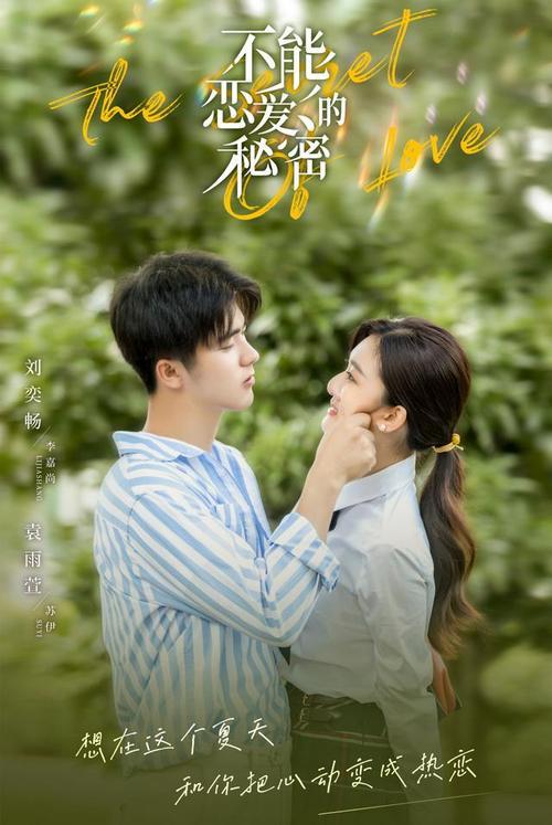 刘奕畅袁雨萱官宣恋情了吗