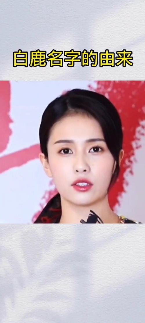 白鹿粉丝名的由来