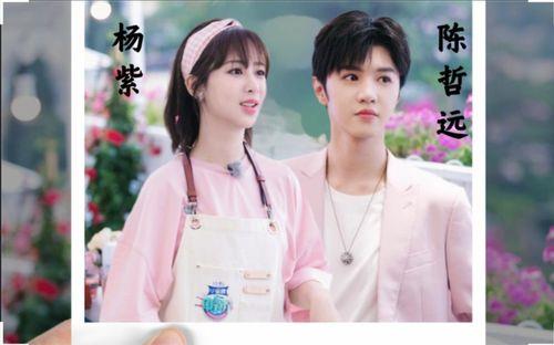 陈哲远和杨紫合作过吗