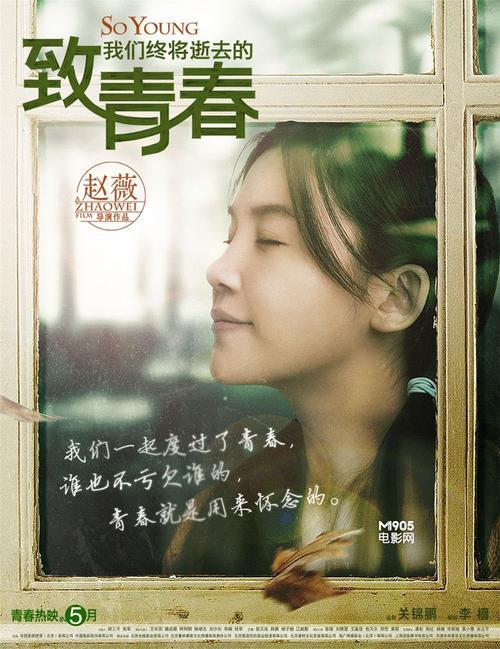致我们的青春剧情介绍