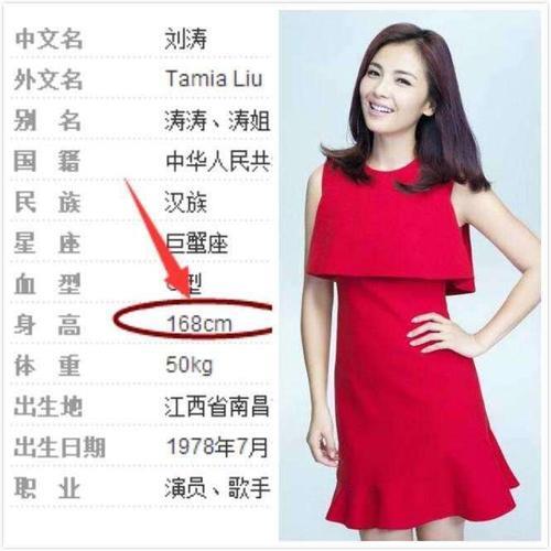 刘涛个人资料简介身高体重