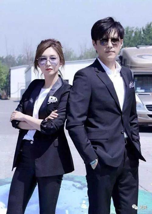 靳东宋轶是夫妻吗