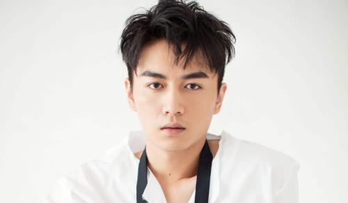 陈晓的个人资料