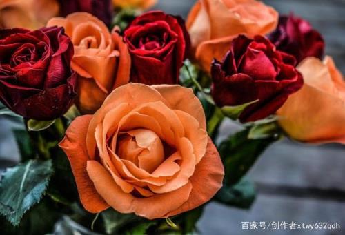 一份爱情要从一束花开始