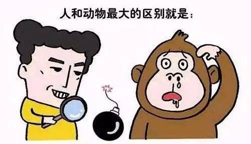 人与自然与动物世界的区别