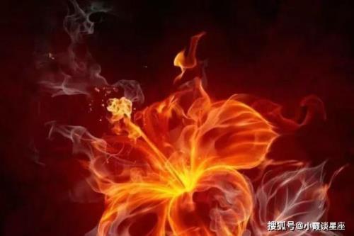 有没有人知道怒之火符合静之火符的区别呢