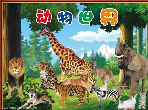 动物世界属于什么类型