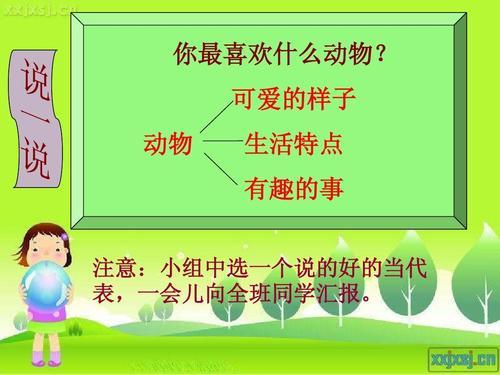 动物世界特点总结