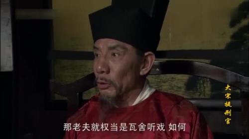 大宋提刑官演技排行