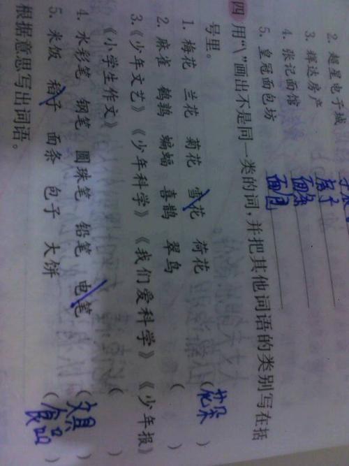 什么的少年填合适的词