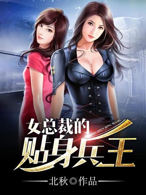 女总裁的贴身兵王作者宏涛