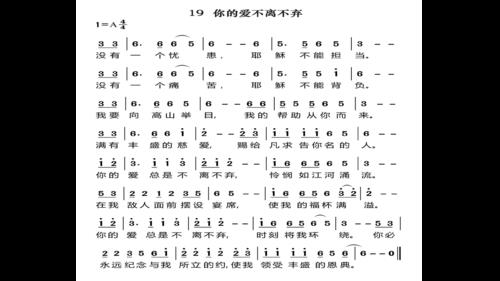 唯有你的爱不离不弃完整版歌词