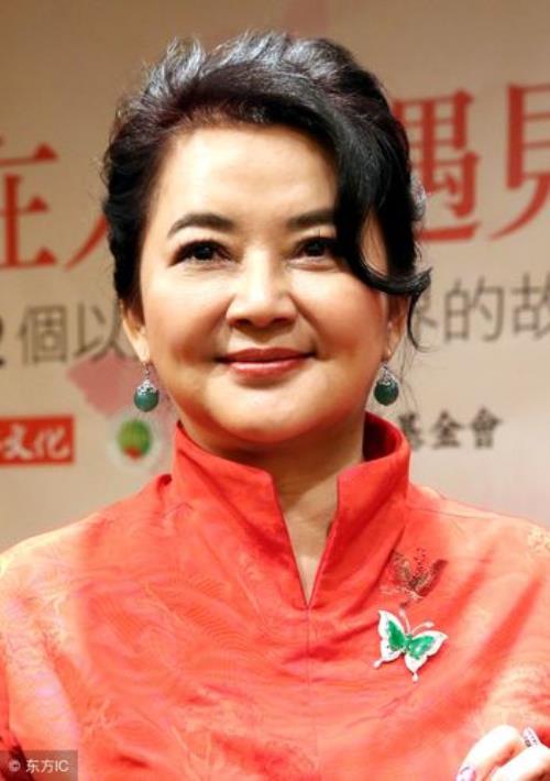 胡慧中资料