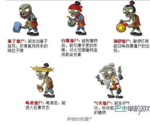 会功夫的僵尸叫什么名字