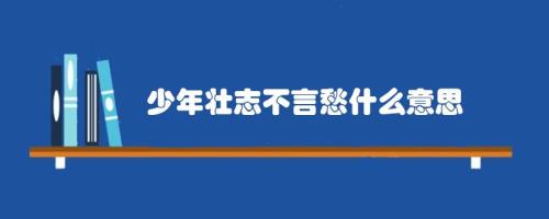 少年是含义