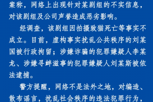 警方通报《当家主母》剧组致猫死亡一事，编造、散布谣言的后果