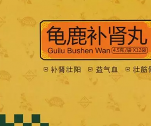 补肾气吃什么药好，补肾气的中成药都有哪些