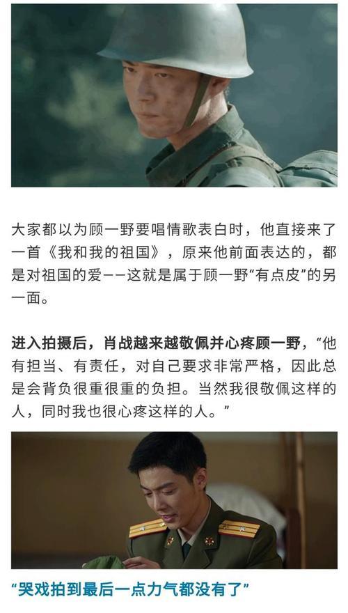 顾一野主要梗概