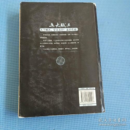 五行贼王剧情详细解析