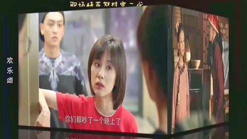 任达华袁泉电视剧
