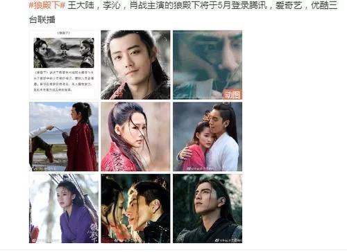 狼殿下拍摄时间为多久