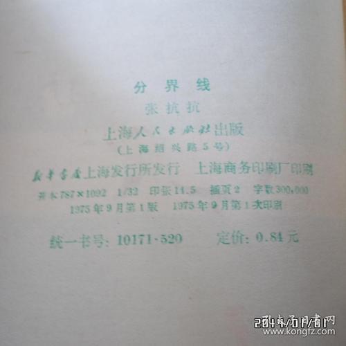 分界线小说原著