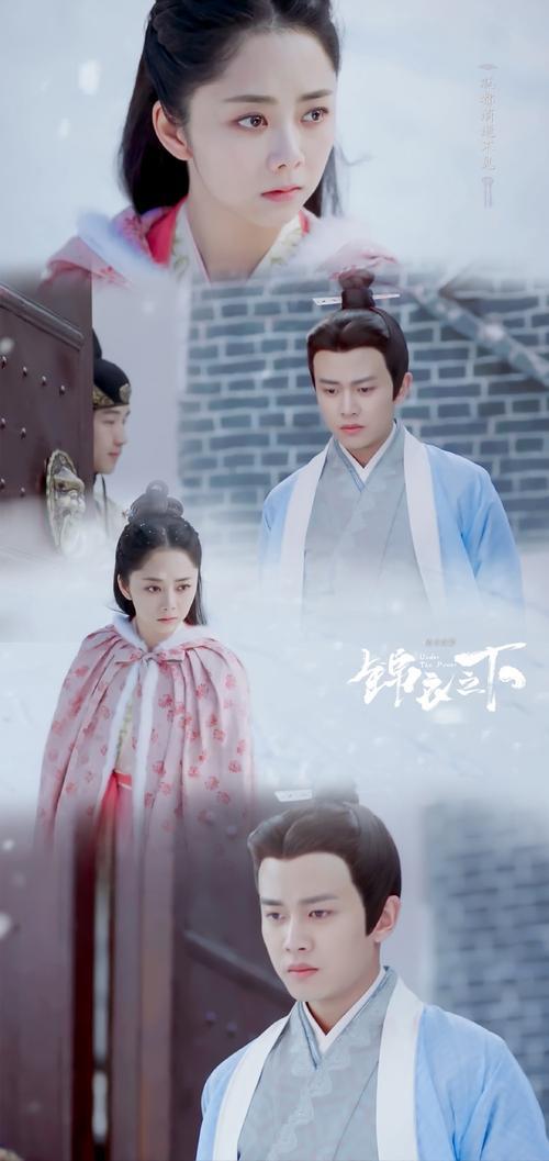 锦衣之下陆绎的爹为什么杀他娘