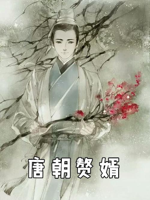 赘婿小说故事详细讲解
