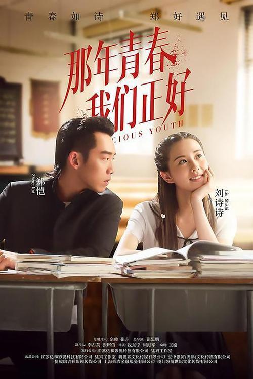 那年青春我们正好类似小说