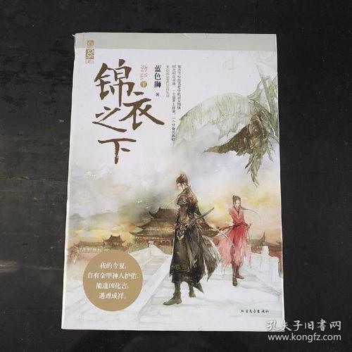 锦衣之下故事书