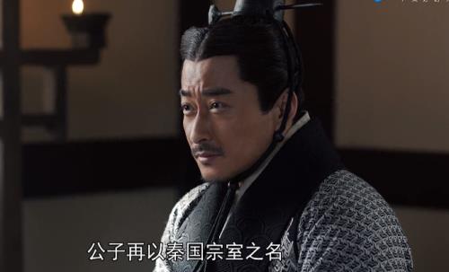 大秦赋中的公子是什么意思啊
