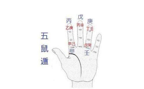 五鼠36计哪五鼠