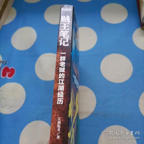 贼王笔记全集介绍