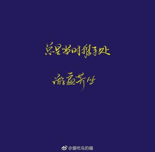 “把酒祝东风,且共从容”这句话什么意思