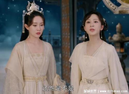 四叶菡萏是什么