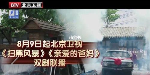 亲爱的电视剧解析