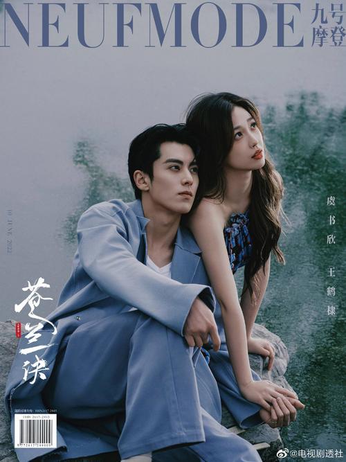 王鹤棣怎么进苍兰诀剧组的