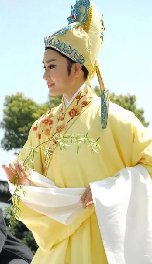 星光灿烂中越妃扮演者