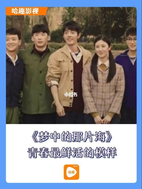 梦中的那片海什么类型