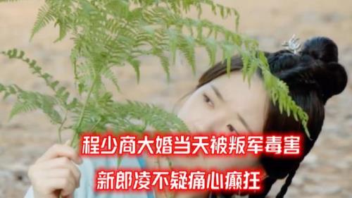 星汉灿烂程少商吹的什么笛子